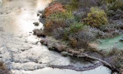 North Branch Nature Center: Upstream–Downstream: A River Resilience Panel Discussion