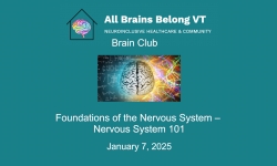 All Brains Belong VT - Brain Club: Nervous System 101 1/7/2025