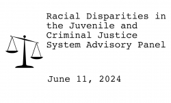  Racial Disparities Advisory Panel - June 11, 2024 [RDAP]