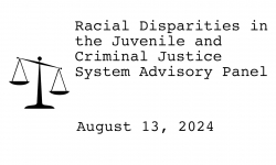 Racial Disparities Advisory Panel - August 13, 2024 [RDAP]