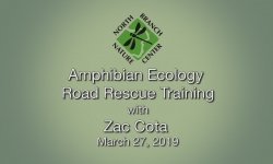 North Branch Nature Center - Amphibian Ecology Road Rescue Training