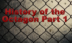 Octagon St. Laveau - History of the Octagon Part 1