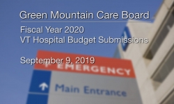 Green Mountain Care Board - Fiscal Year 2020 - VT Hospital Budget Submissions 9/9/19