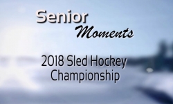 Senior Moments - Sled Hockey Championship 2018