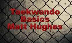 Octagon St. Laveau - Taekwondo Basics Matt Hughes