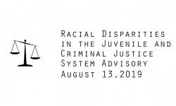 Racial Disparities Advisory Panel - August 13, 2019