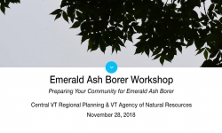 Central VT Regional Planning - Emerald Ash Borer Workshop