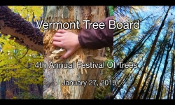 Vermont Tree Board - 4th Annual Festival of Trees