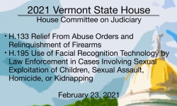 Vermont State House - H.133, H.195 2/23/2021