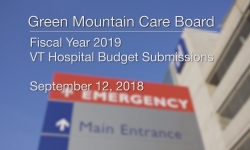 Green Mountain Care Board - Fiscal Year 2019 - VT Hospital Budget Submissions 9/11/18