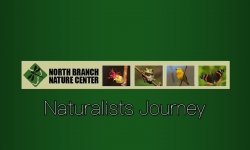 North Branch Nature Center - Naturalist Journeys - Wolves