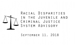 Racial Disparities Advisory Panel - 9/11/2018