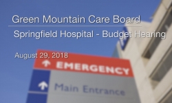 Green Mountain Care Board - Springfield Hospital Budget Hearing 8/29/18