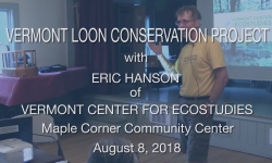 Vermont Center for Ecostudies - Vermont Loon Conservation Project