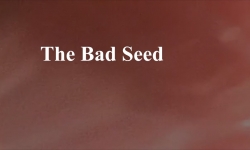 Celluloid Mirror - The Bad Seed