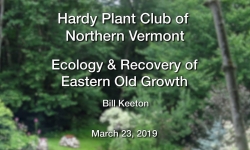 Hardy Plant Club of Northern Vermont - Ecology & Recovery of Eastern Old Growth