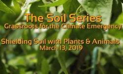 The Soil Series - Shielding Soil with Plants and Animals 3/13/9